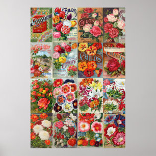 Vintage Flower Seed Packets Garden Collage Poster