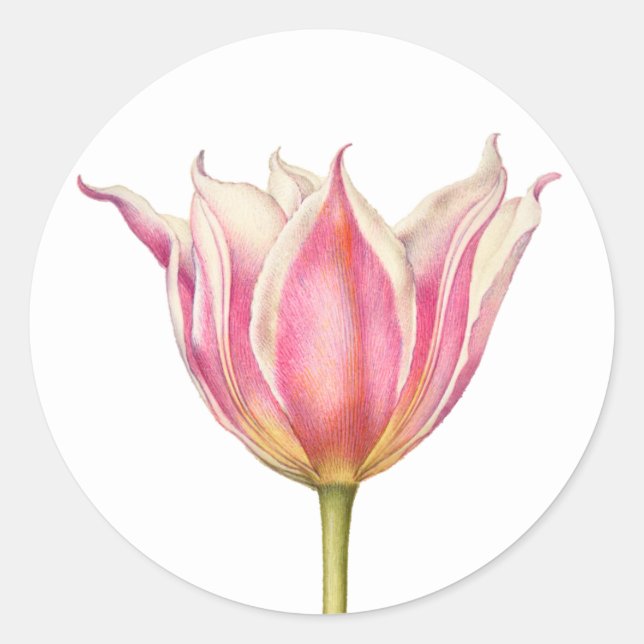 Vintage Flower Tulip Round Stickers (Front)
