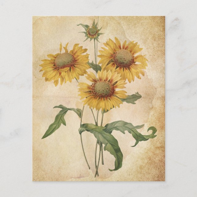 Vintage Flowers Aged Watercolour Scrapbook Paper (Front)