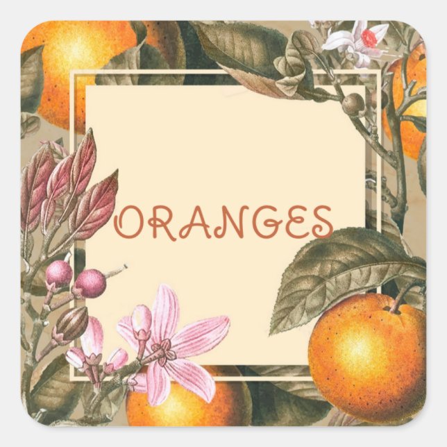 Vintage Flowers and Oranges Square Sticker (Front)