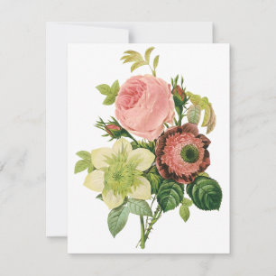 Vintage Flowers, Anemone Roses Clematis by Redoute