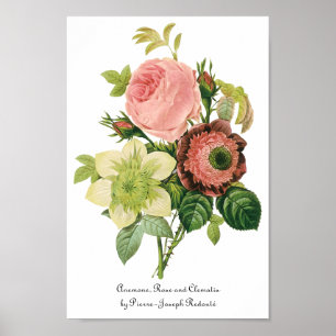 Vintage Flowers, Anemone Roses Clematis by Redoute Poster