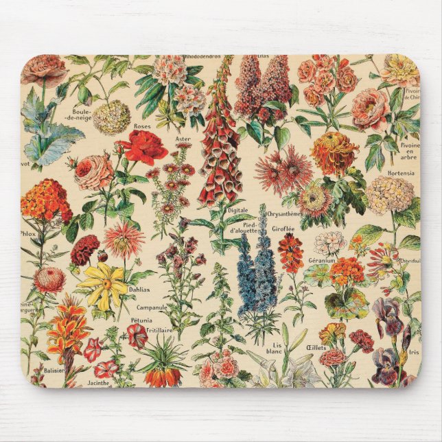 Vintage Flowers by Adolphe Millot Mouse Mat (Front)
