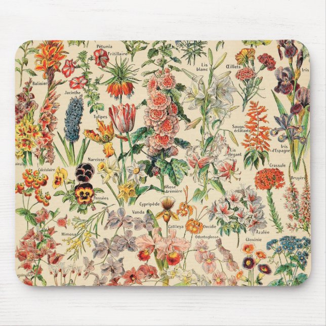 Vintage Flowers by Adolphe Millot Mouse Mat (Front)