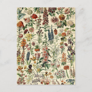 Vintage Flowers by Adolphe Millot Postcard
