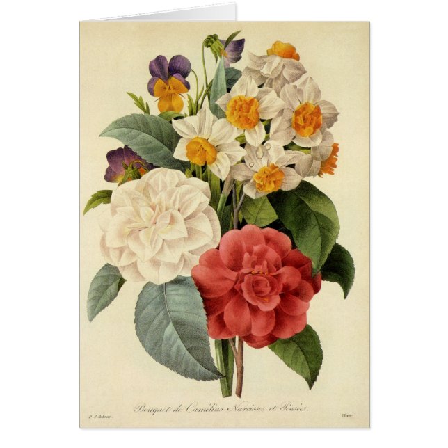 Vintage Flowers, Camellias and Narcissus, Redoute (Front)