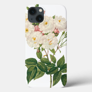 Vintage Flowers Floral Blush Noisette Rose Redoute iPhone 13 Case