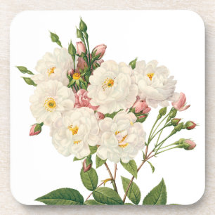 Vintage Flowers Floral Blush Noisette Rose Redoute Coaster