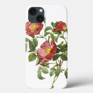 Vintage Flowers Floral Red Rose of Love by Redoute iPhone 13 Case