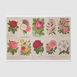 Vintage Flowers for Decoupage or Collage paper