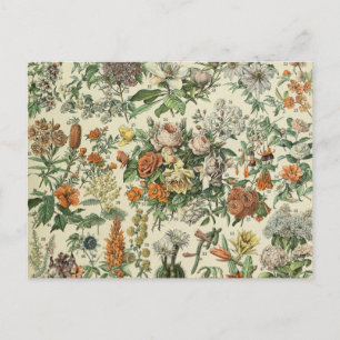 Vintage Flowers Illustration Adolphe Millot Postcard