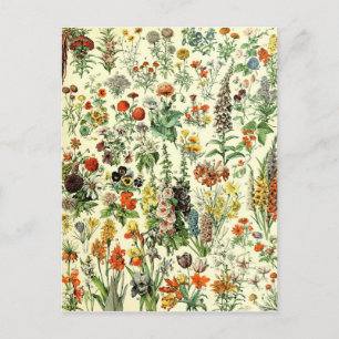 Vintage Flowers Old Illustration Art Postcard