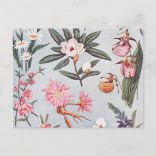 Vintage Flowers Postcard