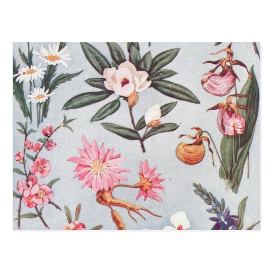 Vintage Flowers Postcard