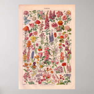 Vintage Flowers poster 1920