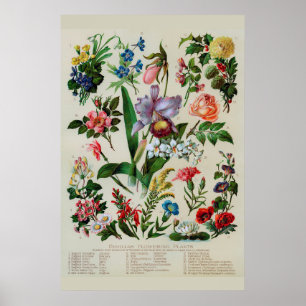 Vintage Flowers Rustic Floral Poster