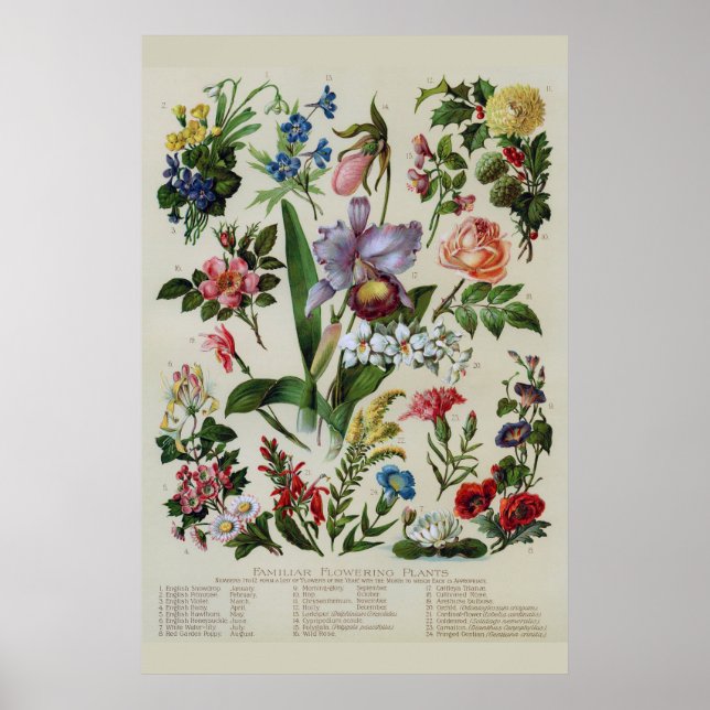Vintage Flowers Rustic Floral Poster (Front)