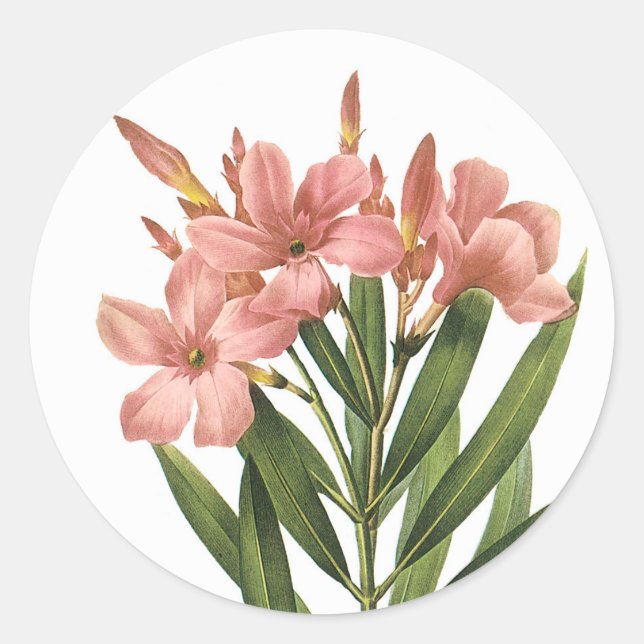 Vintage Flowers stickers 3 B (Front)