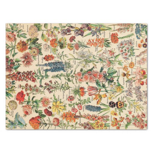Vintage Flowers Tissue Paper Zazzle