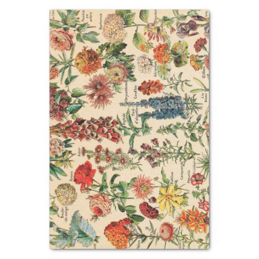 Vintage Flowers Tissue Paper Zazzle