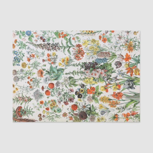 Vintage Flowers  Tissue Paper (Front)
