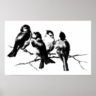 Vintage Fluffy Birds on Branches Poster