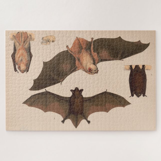Vintage Flying Bat Illustration (1874) Jigsaw Puzzle (Horizontal)