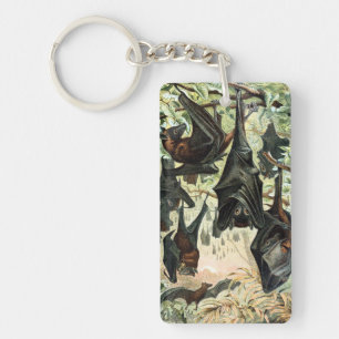Vintage flying fox bat acadamia illustration  key ring