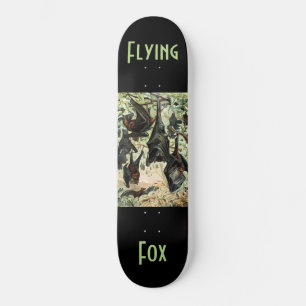 Vintage flying fox bat acadamia illustration skateboard