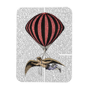 Vintage Flying Machine Magnet
