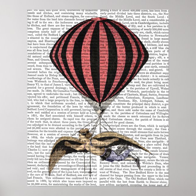 Vintage Flying Machine Poster (Front)