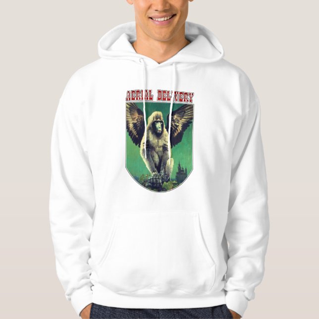 Vintage Flying Monkey Aerial Delivery Hoodie (Front)