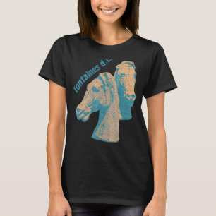 Vintage Fontaines Dc Fan Tribute Design T-Shirt