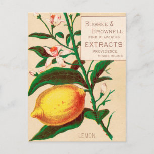 Vintage : food advertising - postcard