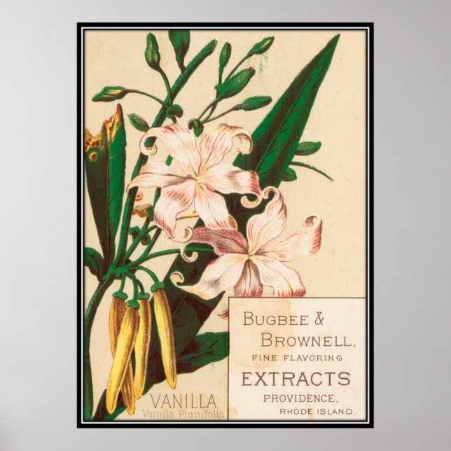 Vintage : food advertising - poster (Front)