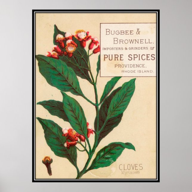 Vintage : food advertising - poster (Front)