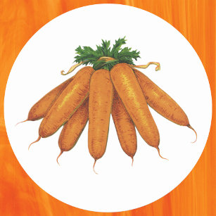 Vintage Food, Bunch of Organic Carrots Vegetables Classic Round Sticker