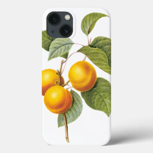 Vintage Food Fruit, Apricot Peach by Redoute iPhone 13 Case