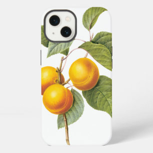 Vintage Food Fruit, Apricot Peach by Redoute iPhone 13 Case