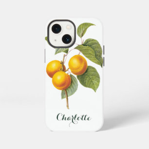 Vintage Food Fruit, Apricot Peach by Redoute iPhone 13 Mini Case
