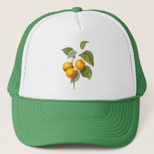 Vintage Food Fruit, Apricot Peach by Redoute Trucker Hat