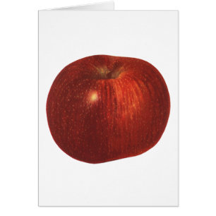 Vintage Food Fruit, Organic Red Delicious Apple