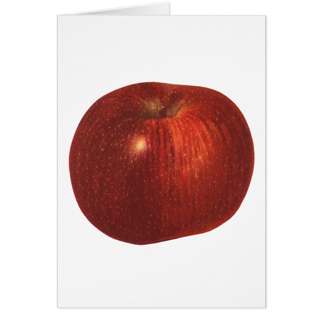 Vintage Food Fruit, Organic Red Delicious Apple (Front)