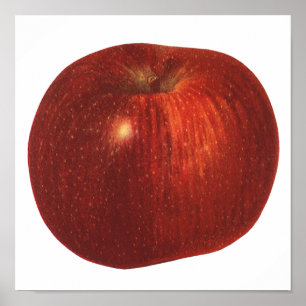 Vintage Food Fruit, Organic Red Delicious Apple Poster