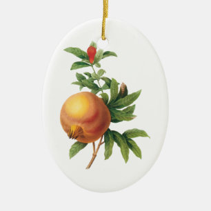 Vintage Food Fruit, Pomegranate by Redoute Ceramic Tree Decoration
