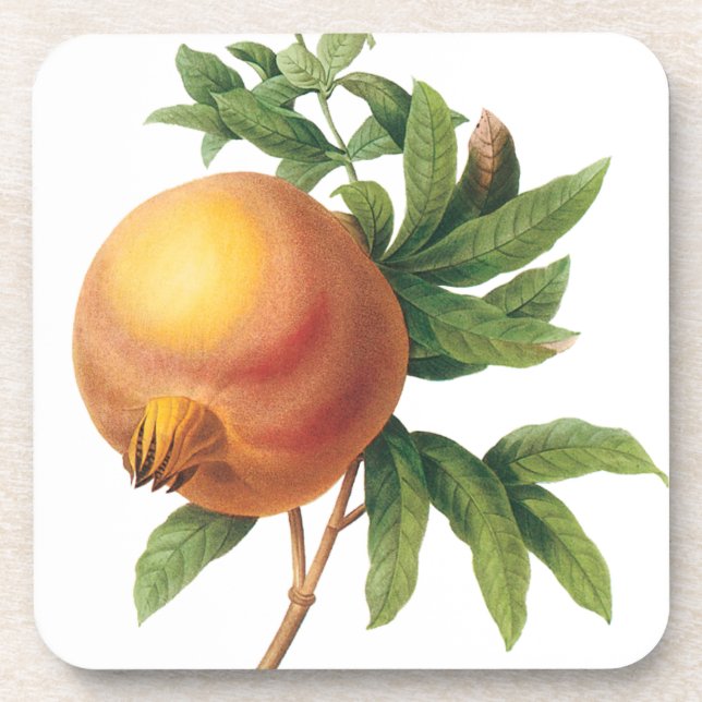 Vintage Food Fruit, Pomegranate by Redoute Coaster (Front)