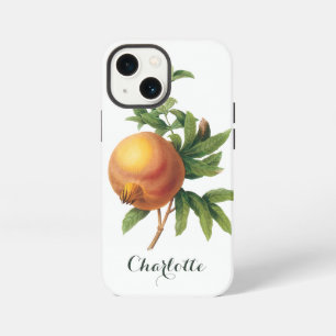 Vintage Food Fruit, Pomegranate by Redoute iPhone 13 Mini Case