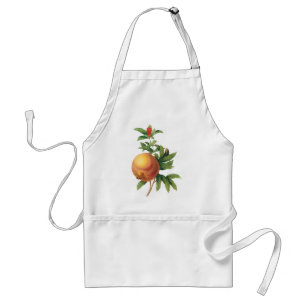 Vintage Food Fruit, Pomegranate by Redoute Standard Apron