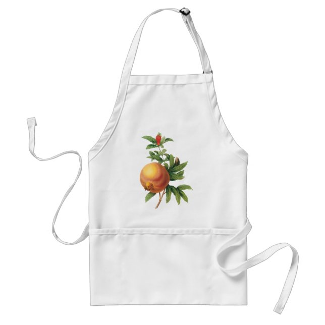 Vintage Food Fruit, Pomegranate by Redoute Standard Apron (Front)