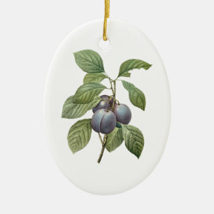 Vintage Food Fruit, Purple Garden Plums by Redoute Ceramic Tree Decoration